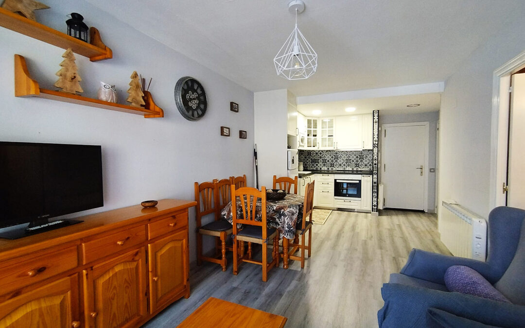 Apartamento Somport